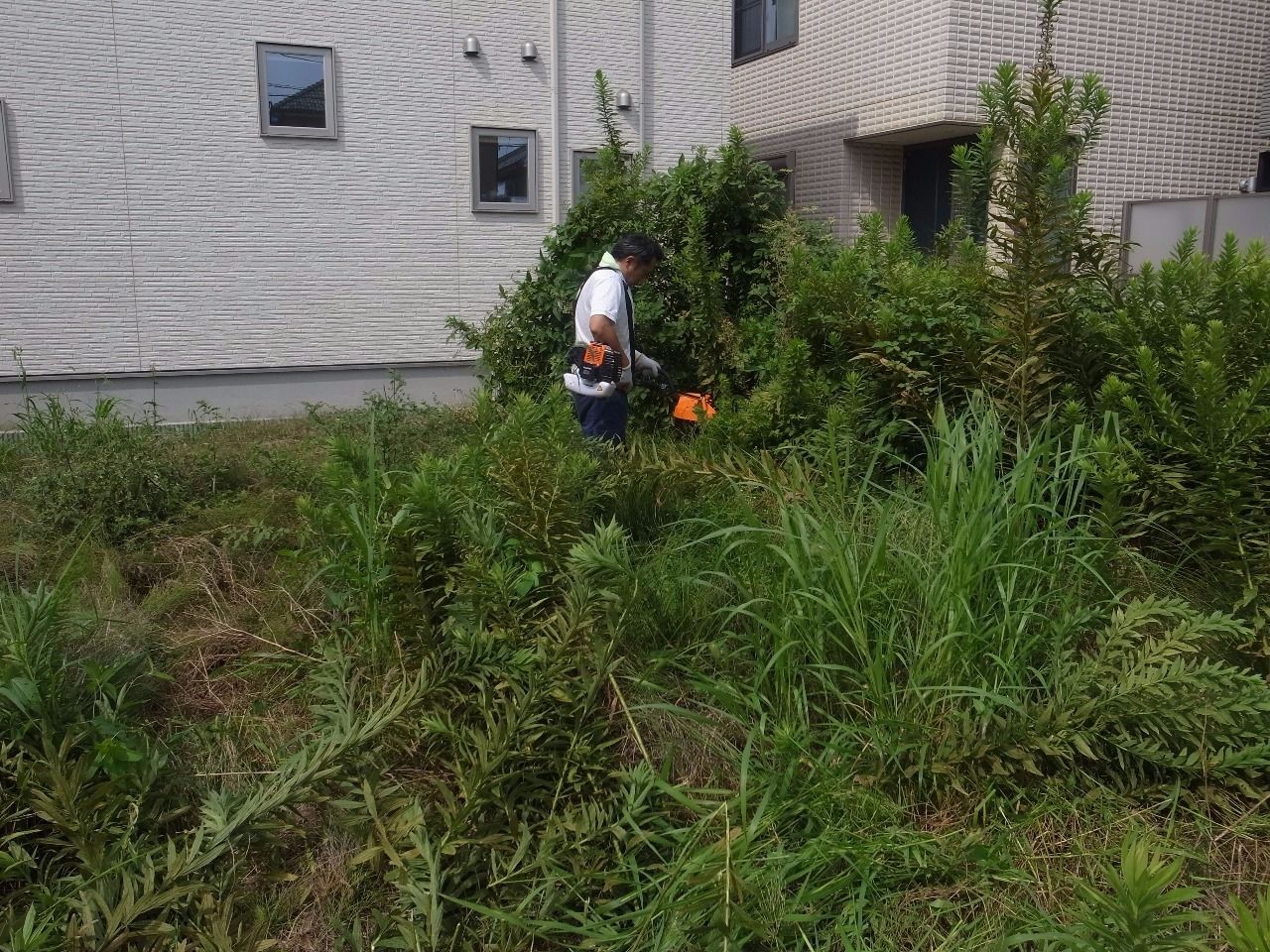 川口市にある土地の草刈り作業！！