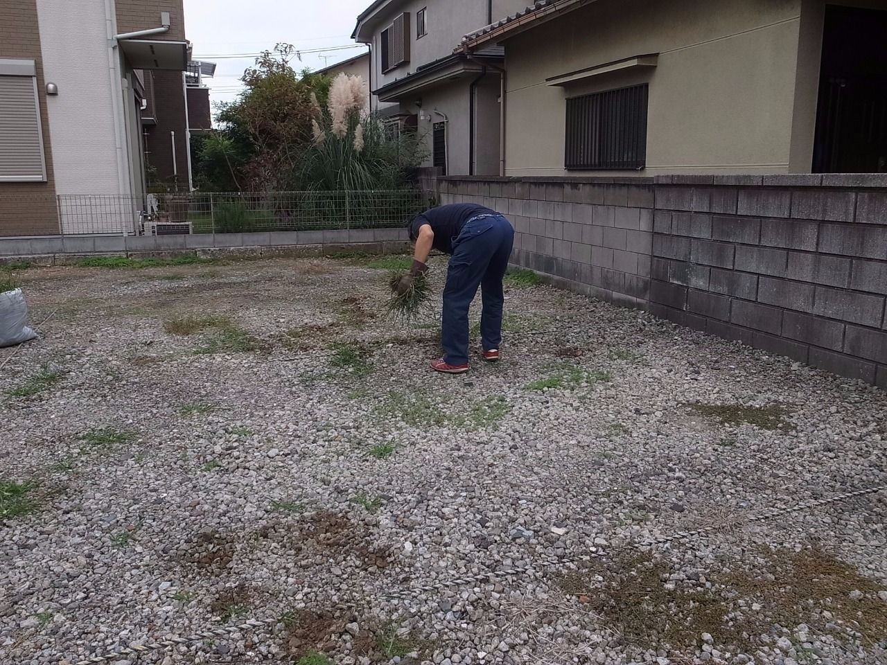 今年最後となる越谷市にある月極駐車場の除草作業！
